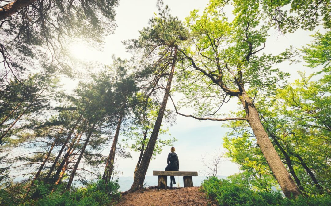 Utilizing Mindfulness Techniques