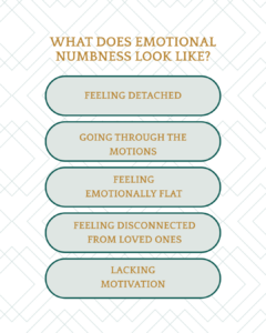 Infographic showing what emotional numbness looks like, including feeling detached, going through the motions, feeling emotionally flat, feeling disconnected from loved ones, and lacking motivation.